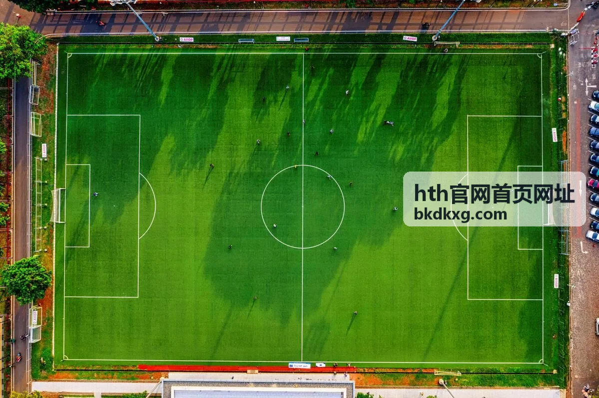 hth官网首页网址入口地址核对流程配图