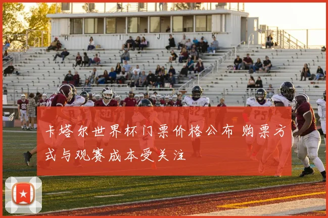 卡塔尔世界杯门票价格公布 购票方式与观赛成本受关注