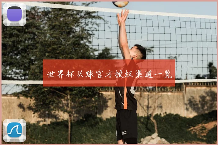 世界杯买球官方授权渠道一览